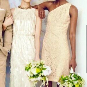 NWT J.Crew Alexa One-Shoulder Dress in Leavers Lace Champagne 8